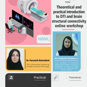 Theoretical and practical introduction to DTI and brain structural connectivity