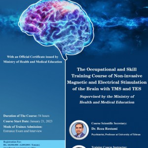  Skill Training Course of Non-invasive Magnetic and Electrical Stimulation of the Brain with TMS and TES