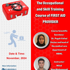  Skill Training Course of FIRST AID PROVIDER