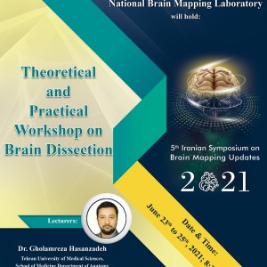 Theoretical and Practical Workshop on Brain Dissection