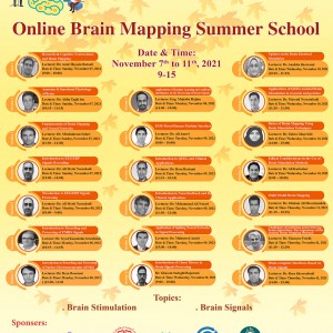Online Brain Mapping Autumn School (Brain Stimulation & Brain Signals)