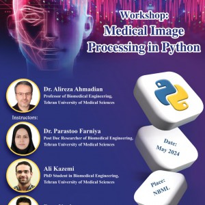 Workshop: Medical Image Processing in Python 