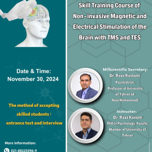 Skill Training Course of Non-invasive Magnetic and Electrical Stimulation of the Brain with TMS and TES