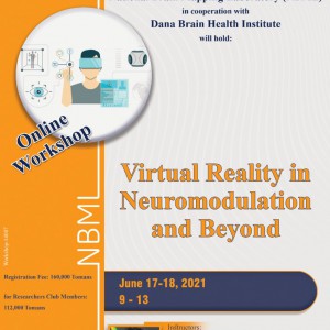 Virtual Reality in Neuromodulation and Beyond Workshop